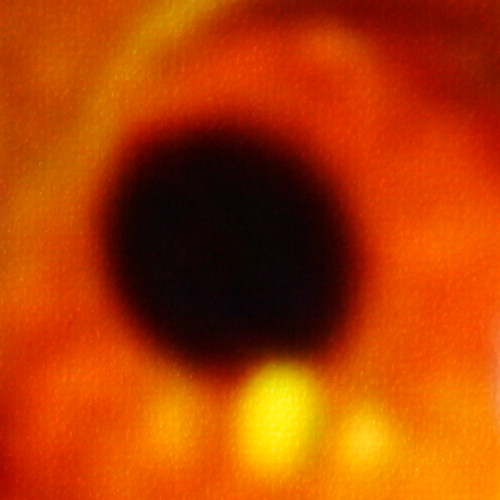 4k-on-70.jpg, 50.63 kb, 500 x 500