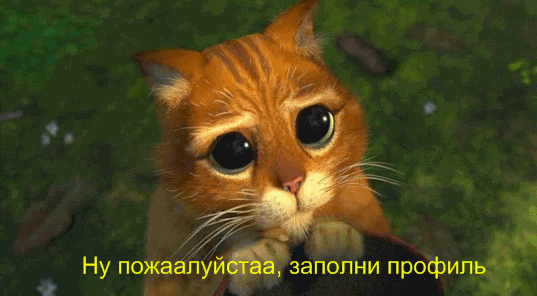 kot_shrekl.png, 71.8 kb, 537 x 296